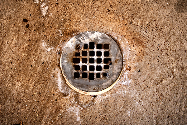 basement floor drain backing up black water