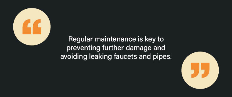 Tips for Preventing Further Damage