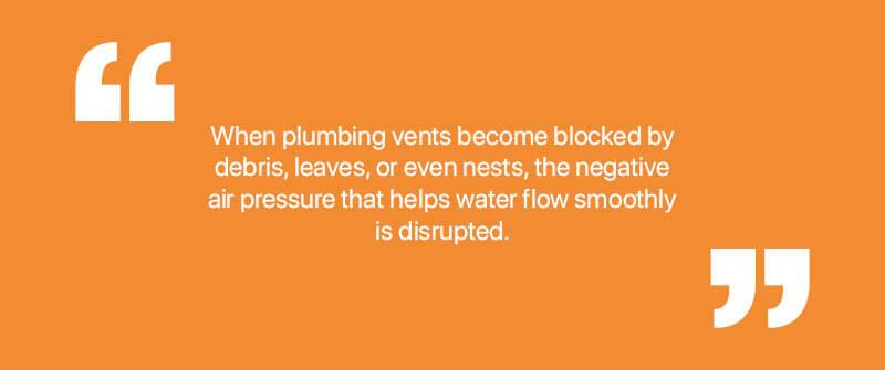 Understanding Plumbing Vent Issues and Blockages